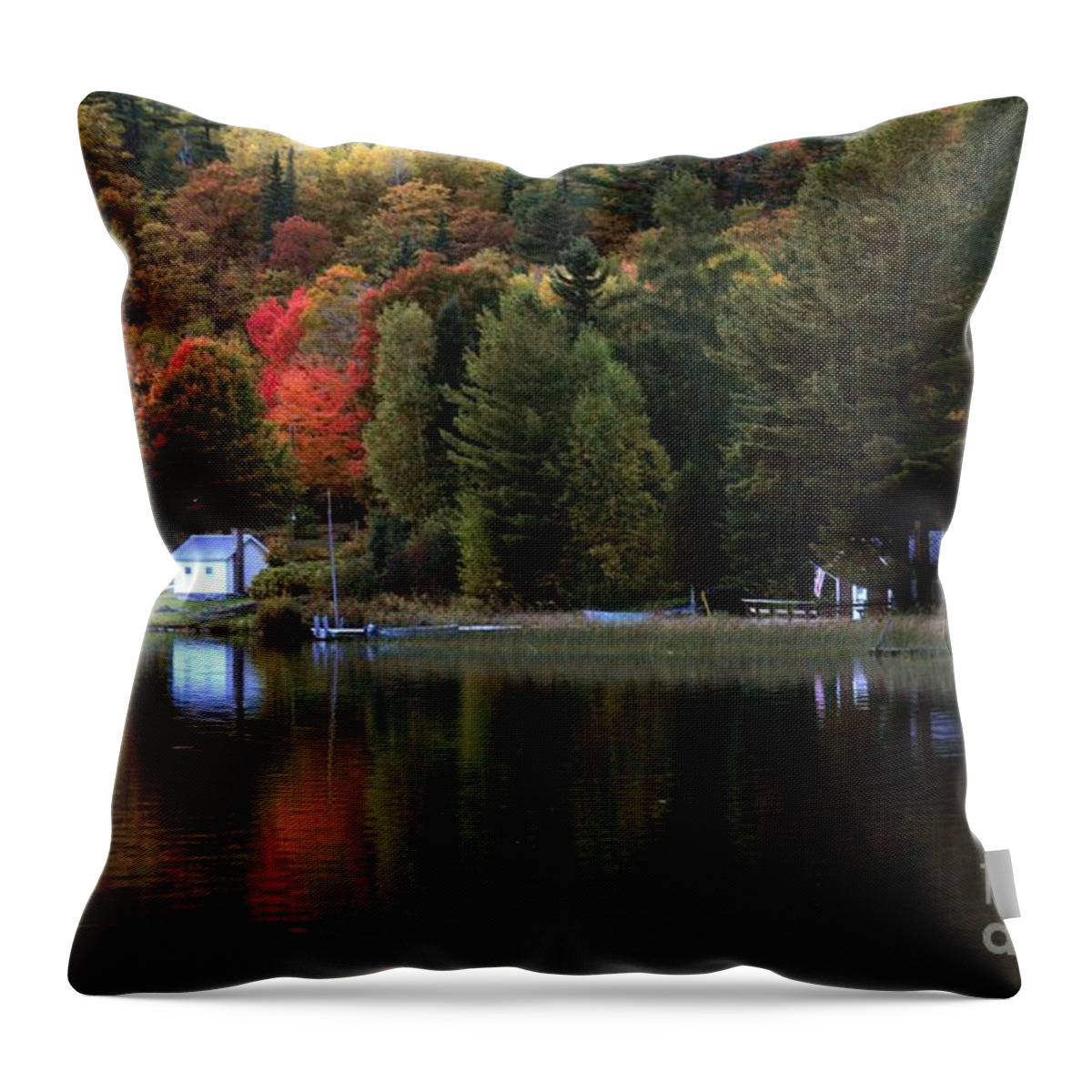 Green Throw Pillow featuring the photograph Hideaway by Terri Gostola
