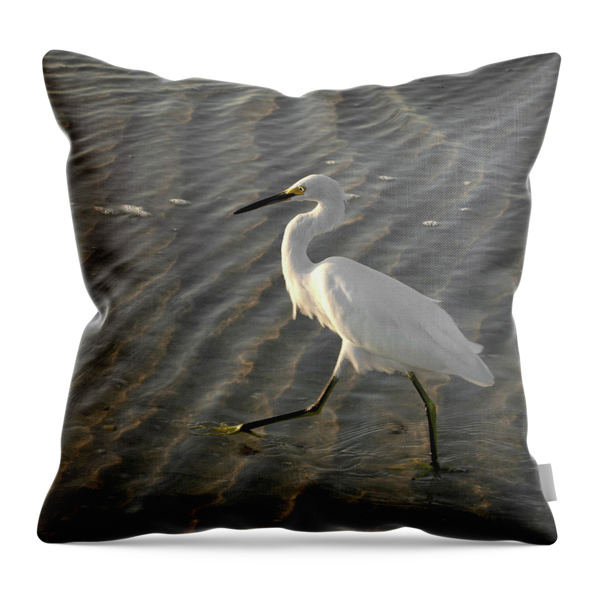 Highstepping Throw Pillow featuring the photograph High Stepping by Vicky Edgerly
