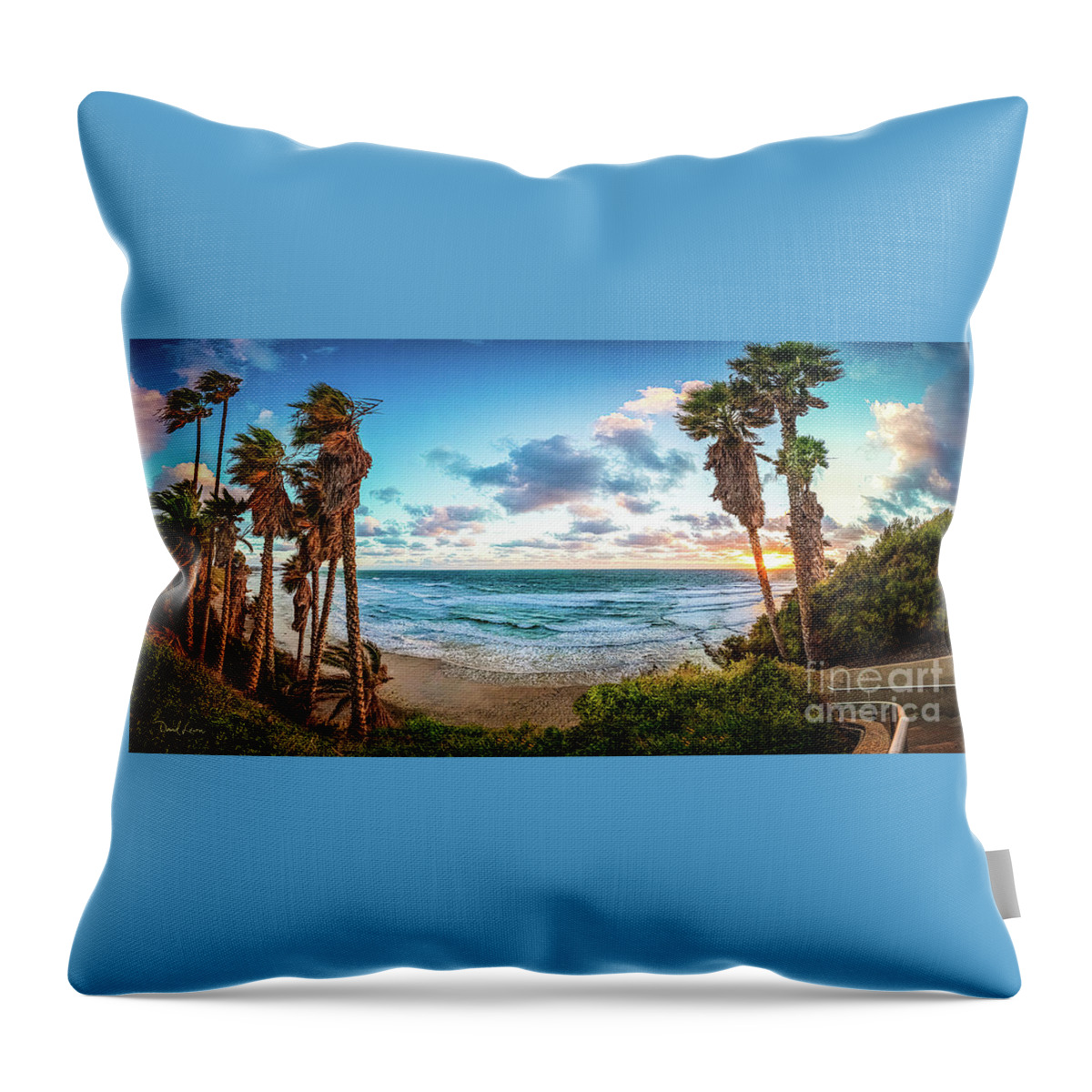 Beach Throw Pillow featuring the photograph High Winds at Swami's Beach by David Levin