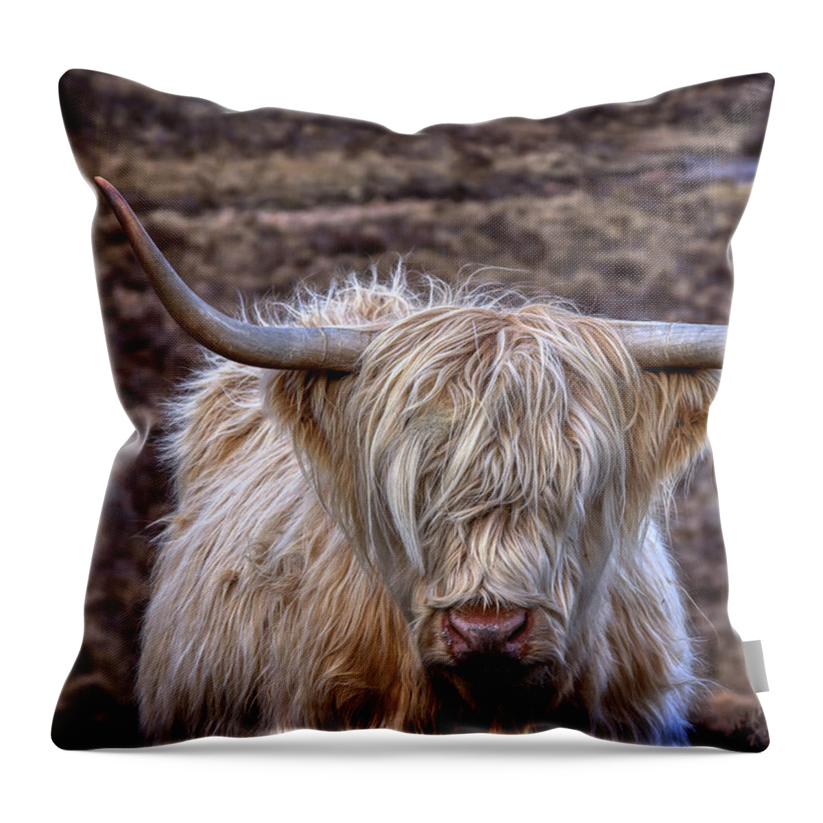 Isle Of Skye Throw Pillow featuring the photograph Highland Cow by Rebecca Caroline Photography