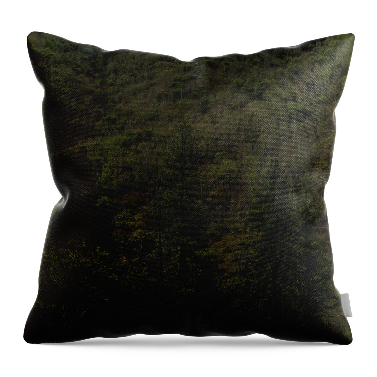 Oregon Throw Pillow featuring the photograph Hill and Sky II by Theresa Fairchild