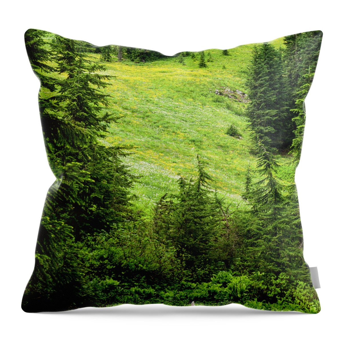 Hillside Throw Pillow featuring the photograph Hillside Alive by Louise Kornreich