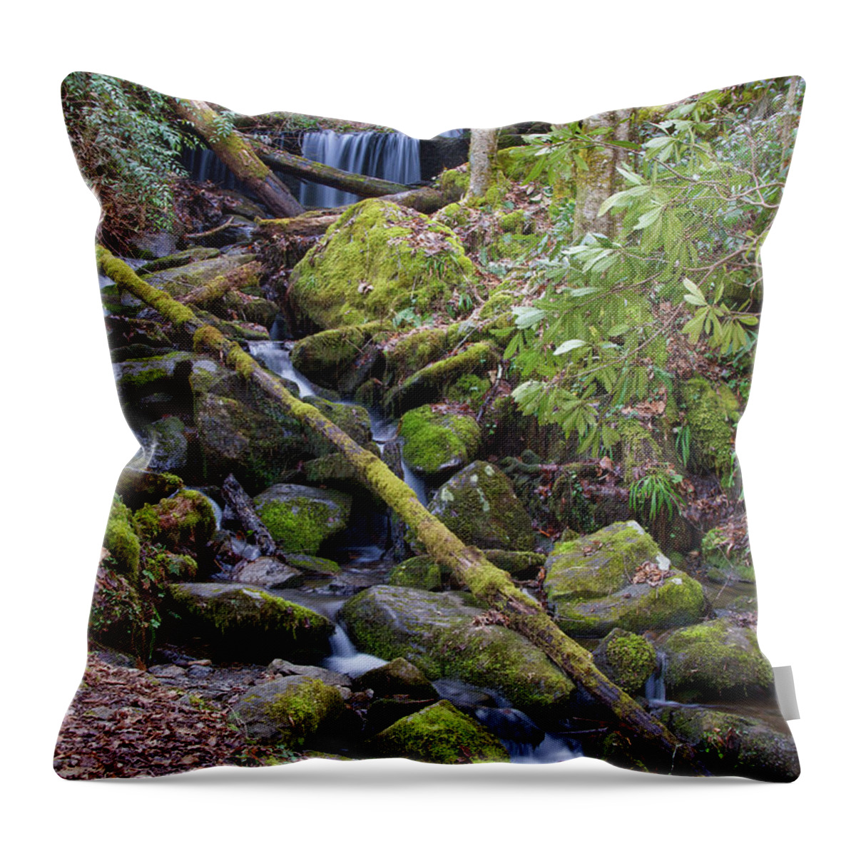Hillside Throw Pillow featuring the photograph Hillside Waterfall by Phil Perkins