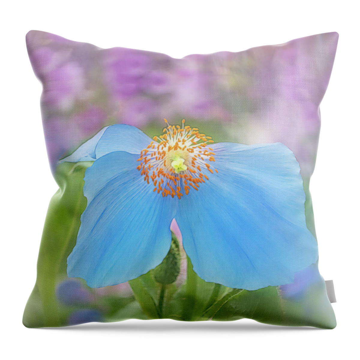 Poppy Throw Pillow featuring the photograph Himalayan Blue Poppy - In The Garden by Sylvia Goldkranz