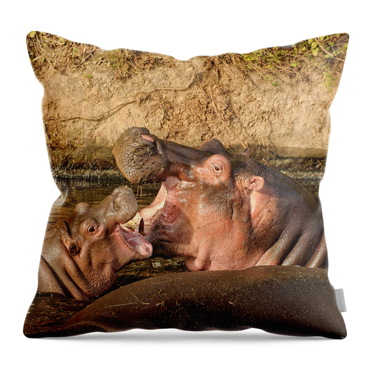 Africa Throw Pillow featuring the photograph Hippo Mother and Calf by Mitchell R Grosky