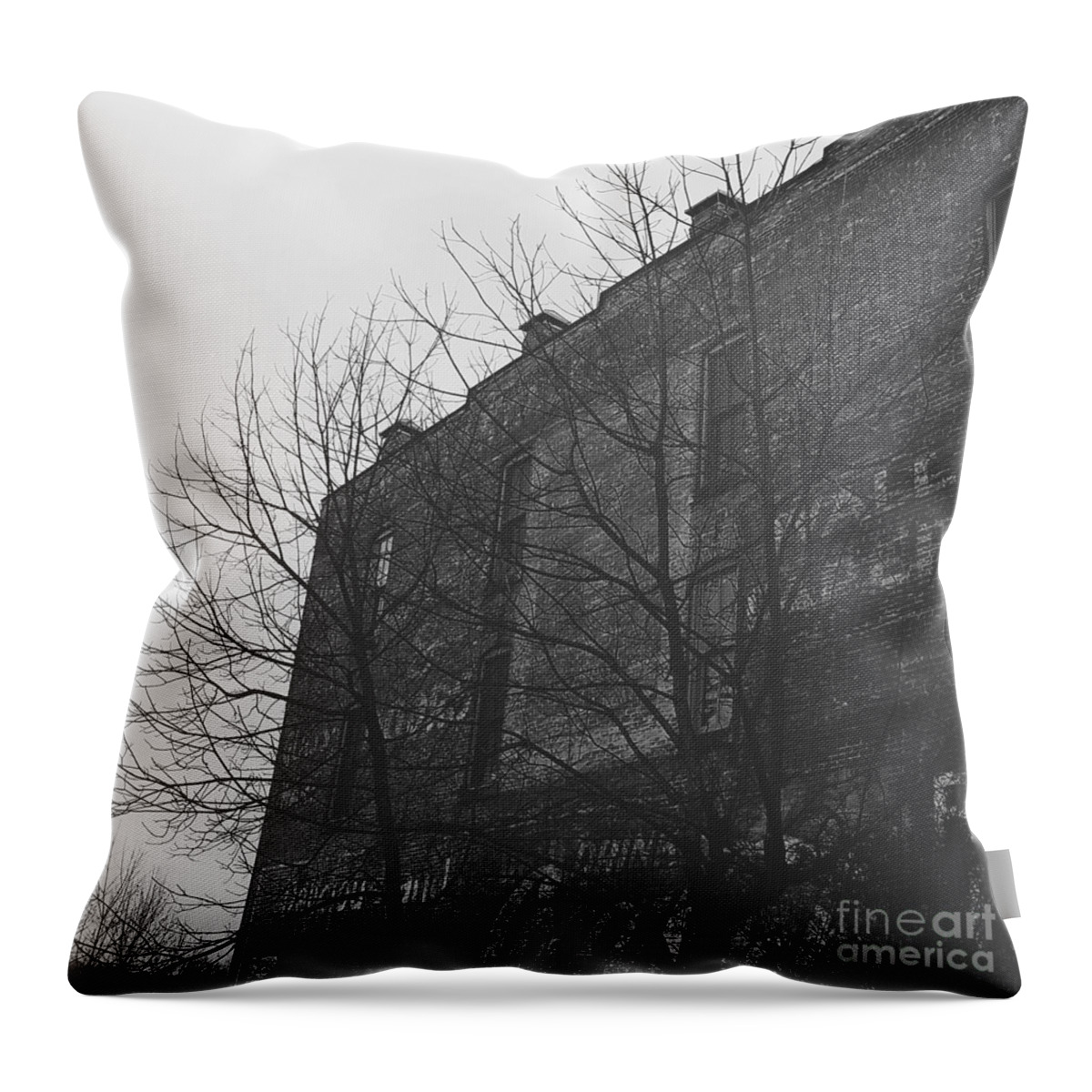 Old Ads Throw Pillow featuring the photograph Historic Sales by Jeff Danos