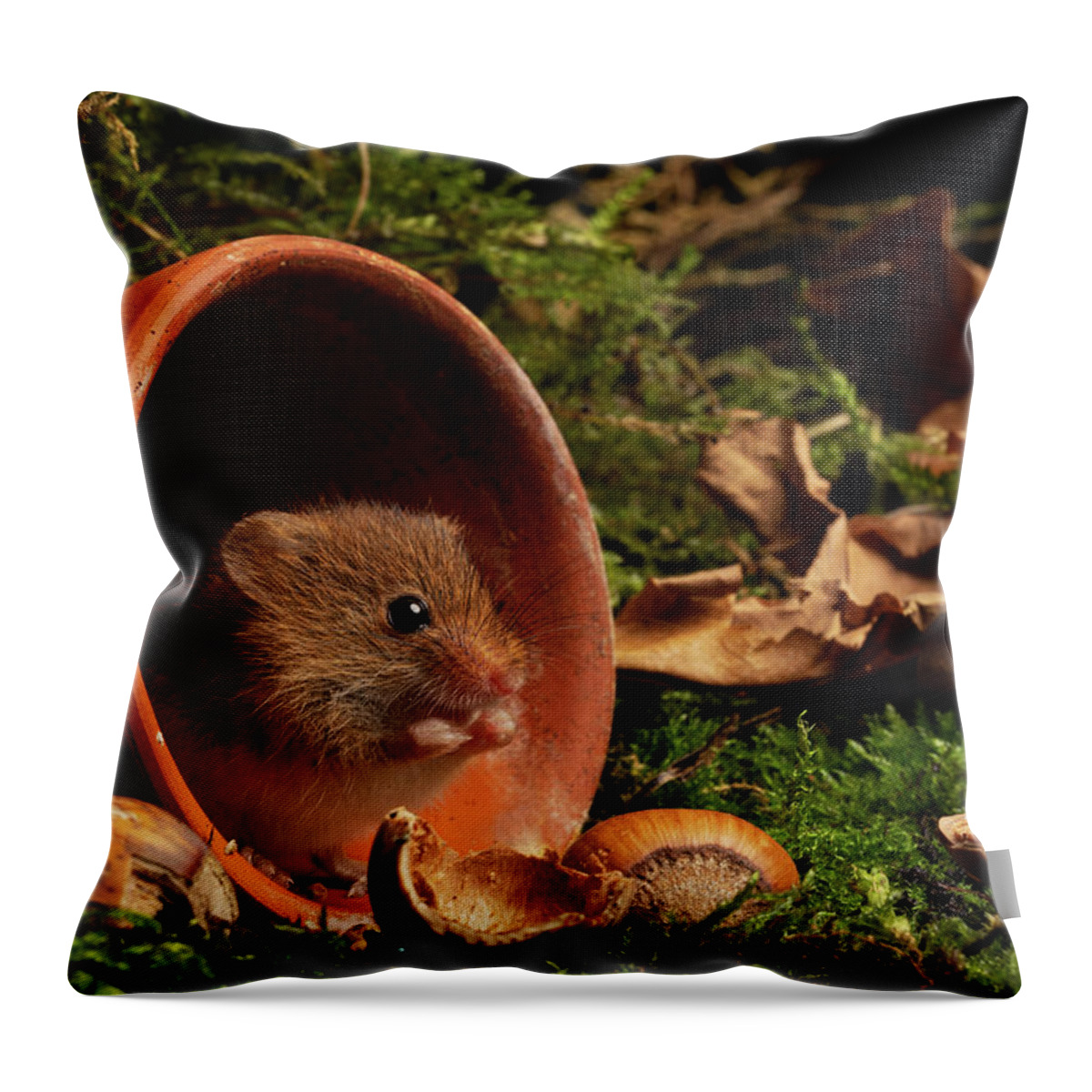 Harvest Throw Pillow featuring the photograph Hm-00950 by Miles Herbert