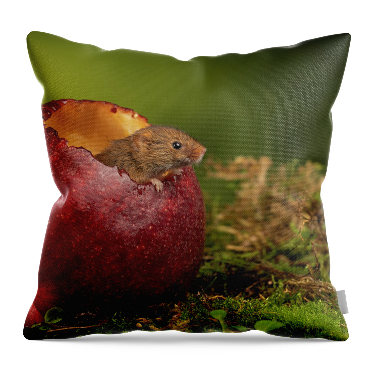 Harvest Throw Pillow featuring the photograph Hm-0838 by Miles Herbert