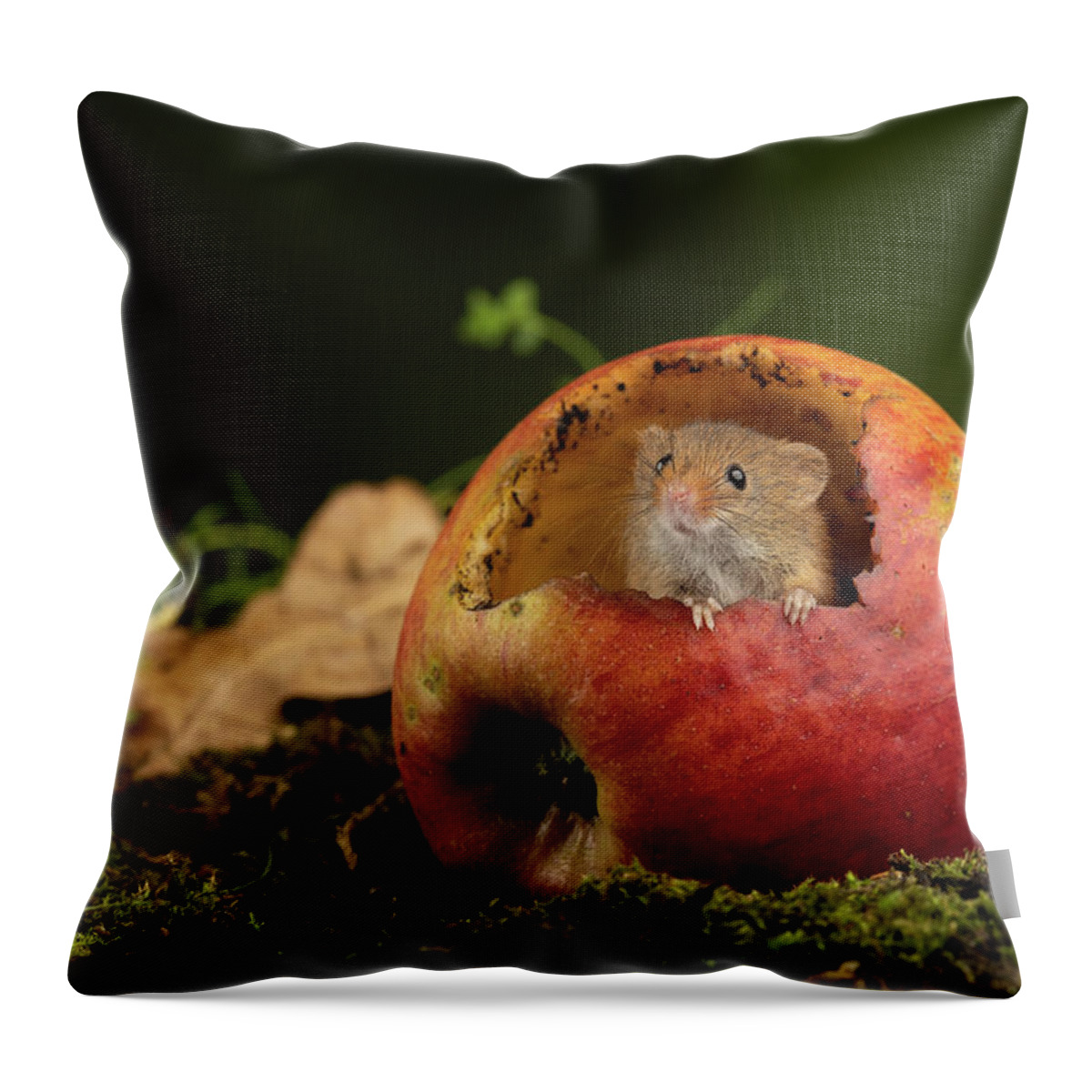 Harvest Throw Pillow featuring the photograph Hm-2427 by Miles Herbert