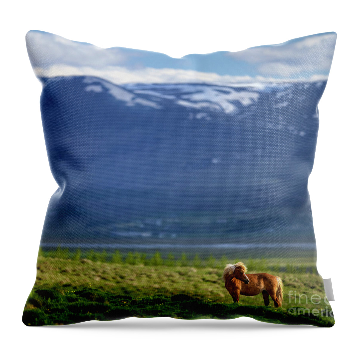 Hofsstadir Ranch Horse Throw Pillow featuring the photograph Hofsstadir Ranch Horse by Doug Sturgess