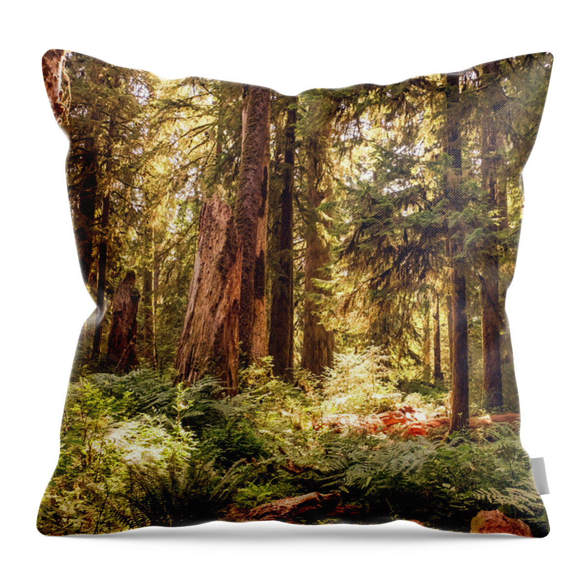 Washington Throw Pillow featuring the photograph Hoh Forest #2 by Alberto Zanoni