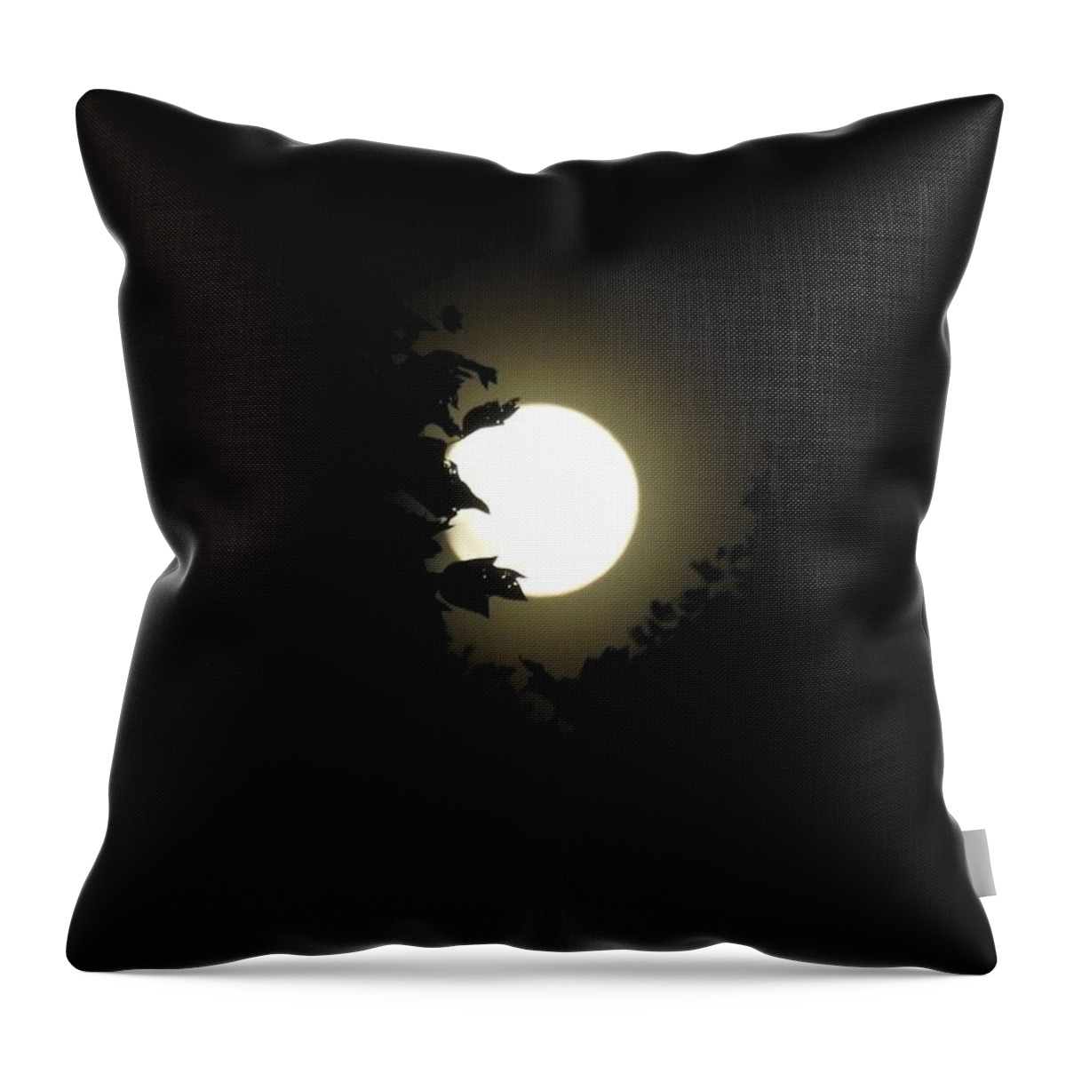Holding The Moon Throw Pillow featuring the photograph Holding the Moon by Kathy Chism