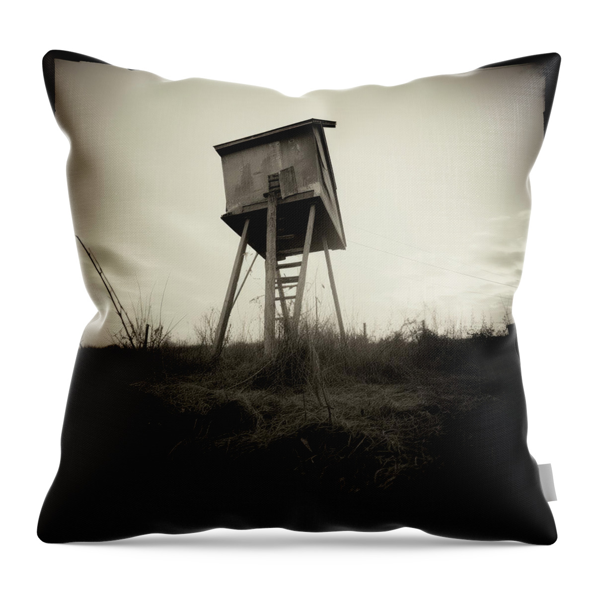 Black And White Throw Pillow featuring the digital art Holga Image of Playhouse on Stilts by YoPedro