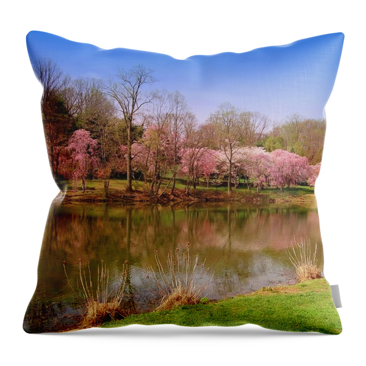 Cherry Blossoms Throw Pillow featuring the photograph Holmdel Park In Spring by Angie Tirado