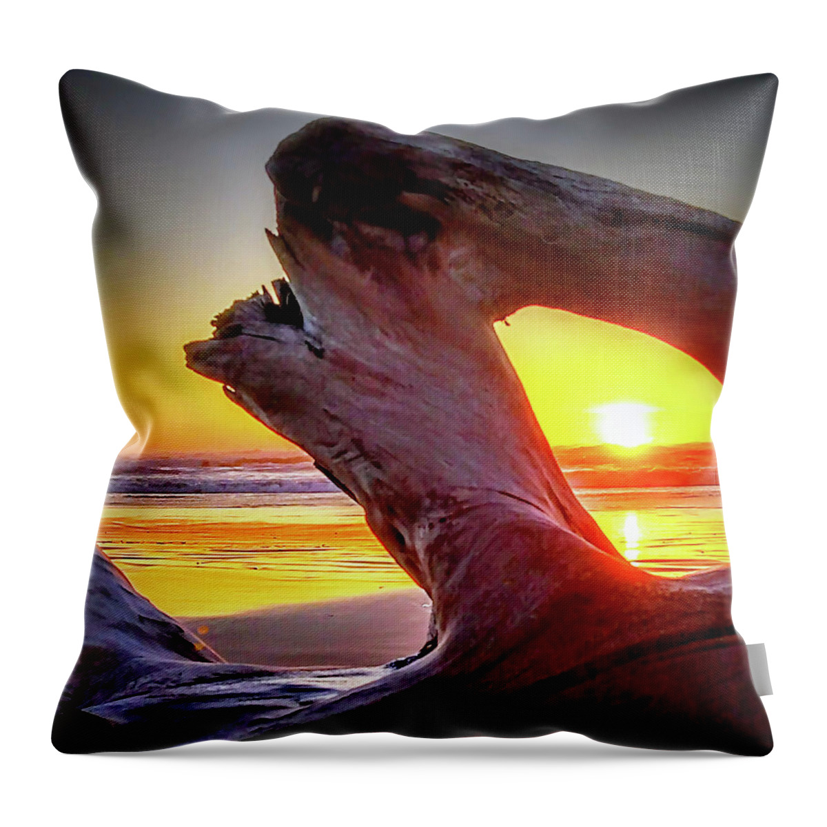 Sunset Throw Pillow featuring the photograph Serenity Through Wood by Mary Gaines
