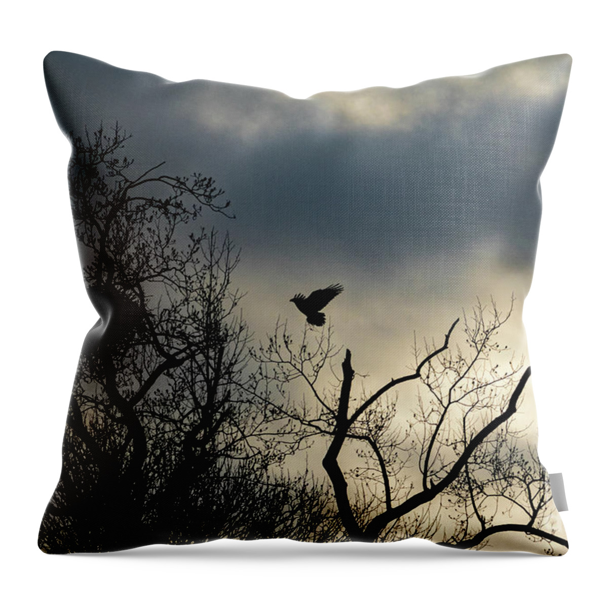 Eagle Throw Pillow featuring the photograph Home Before Dark by Alyssa Tumale