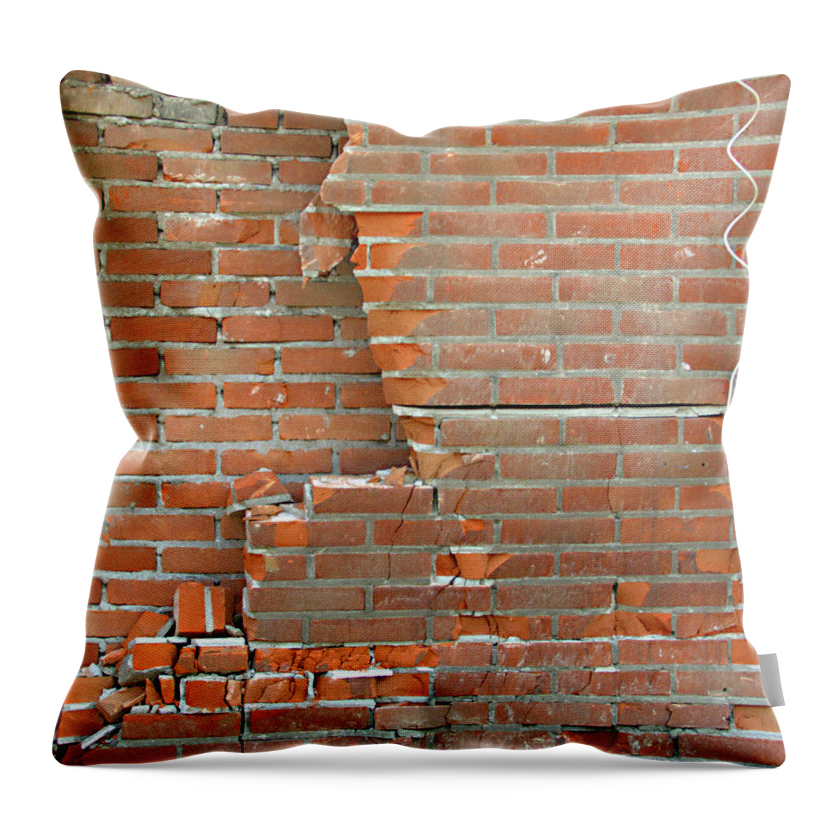 Digital Photography Throw Pillow featuring the photograph Home Improvement by Luc Van de Steeg