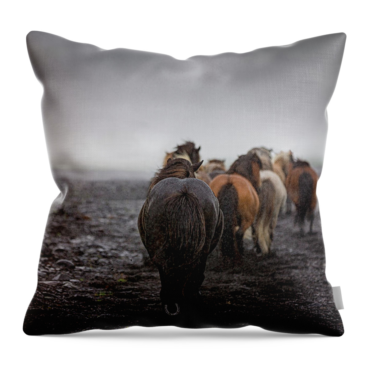 Horse Throw Pillow featuring the photograph Homeward bound - Horse Art by Lisa Saint