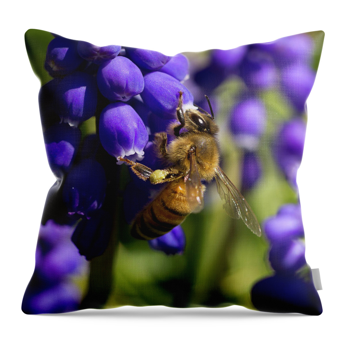 Bee Throw Pillow featuring the photograph Honey Bee by David Beechum