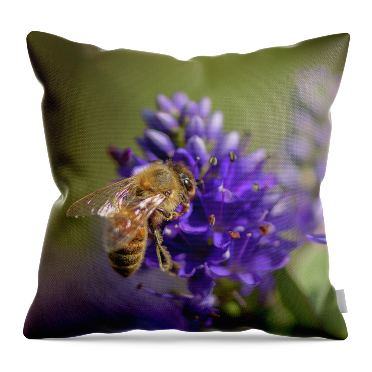 Hymenoptera Throw Pillow featuring the photograph Honeybee Collecting Pollen by Nancy Gleason