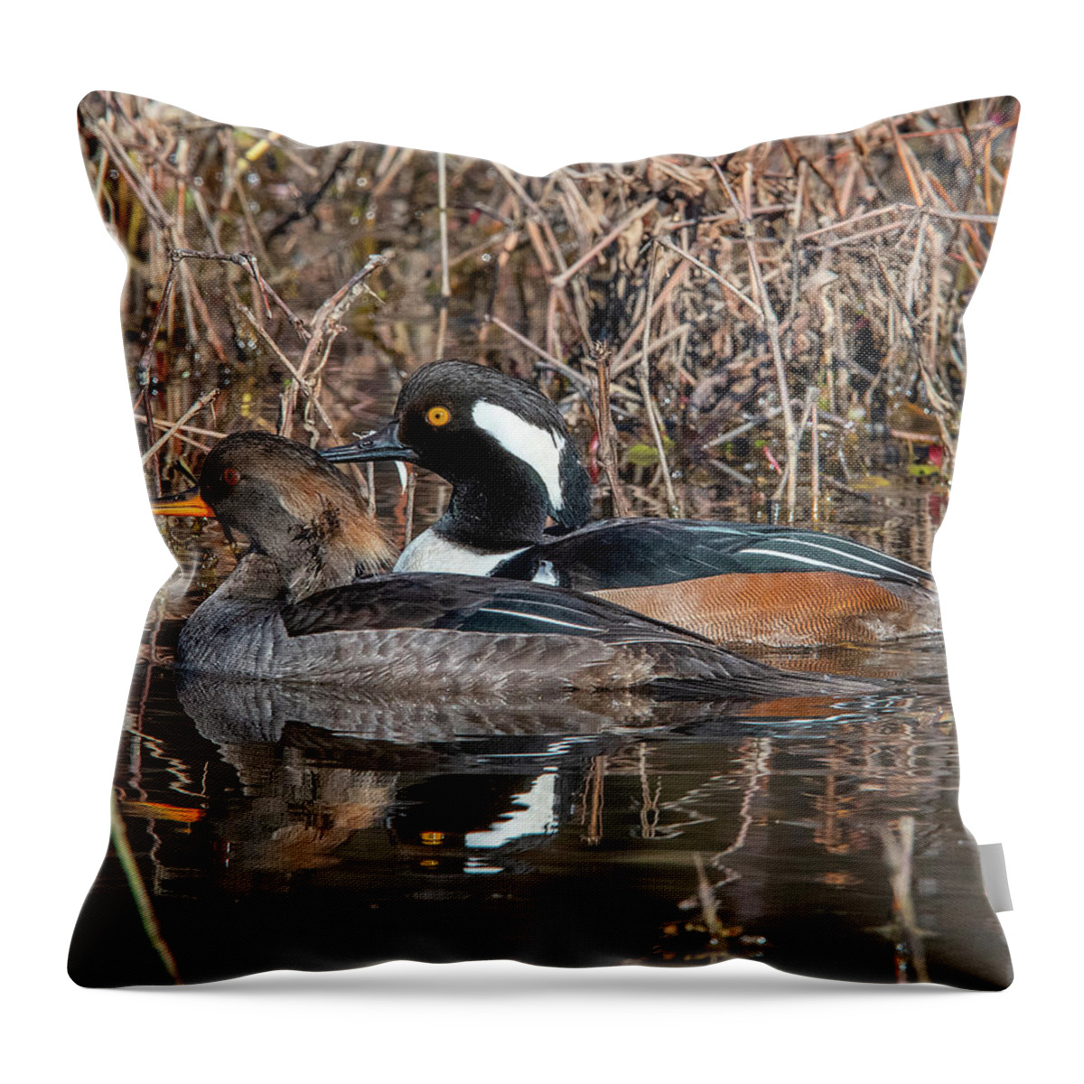Nature Throw Pillow featuring the photograph Hooded Merganser Pair DWF0230 by Gerry Gantt