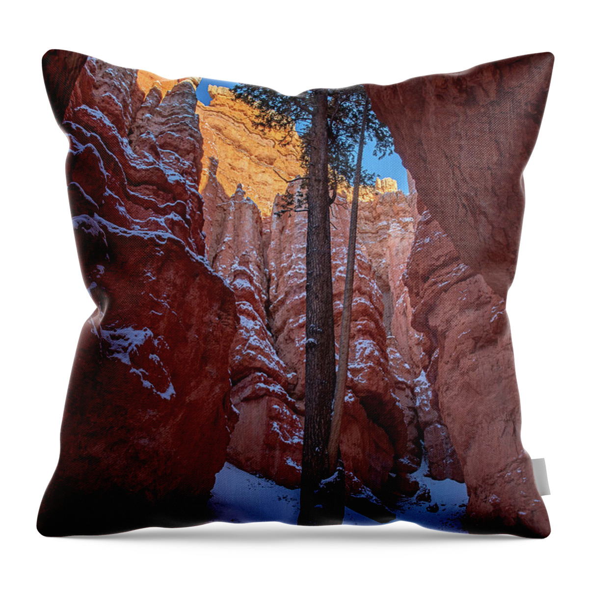 Arches Throw Pillow featuring the photograph Hoodoos of Bryce by Edgars Erglis