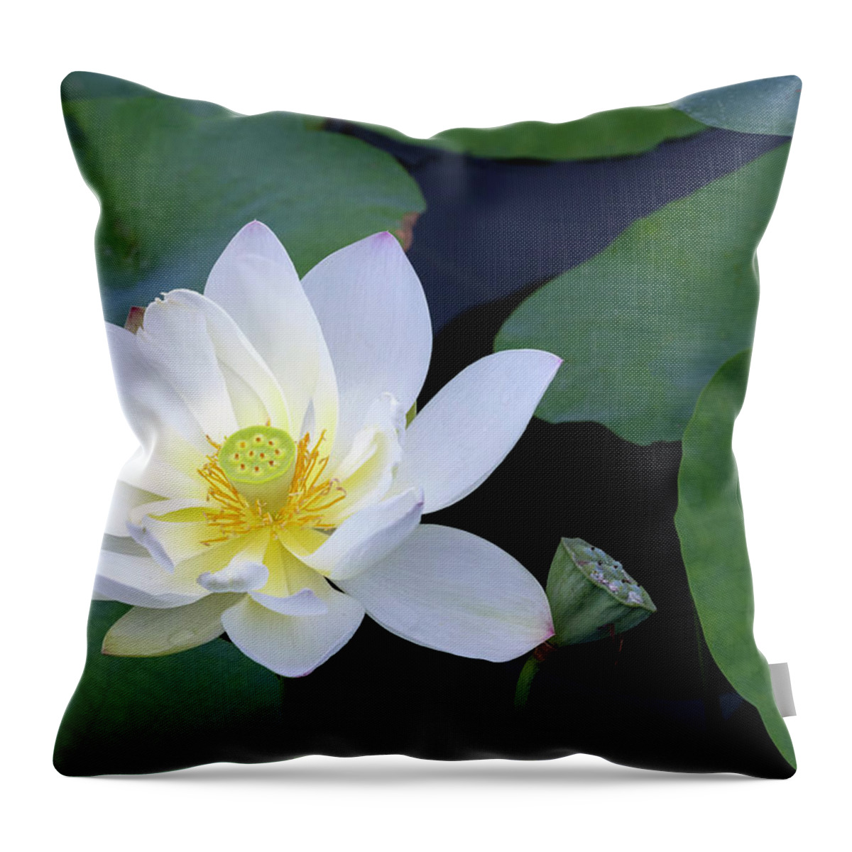 Hope And Strength Throw Pillow featuring the photograph Hope and Strength by Patty Colabuono