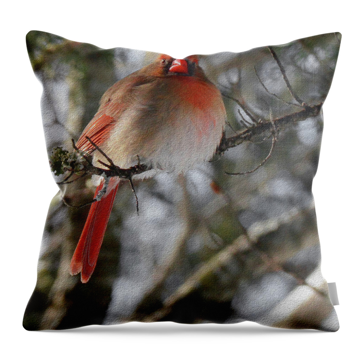 Bird Throw Pillow featuring the digital art Hope by Constance Woods
