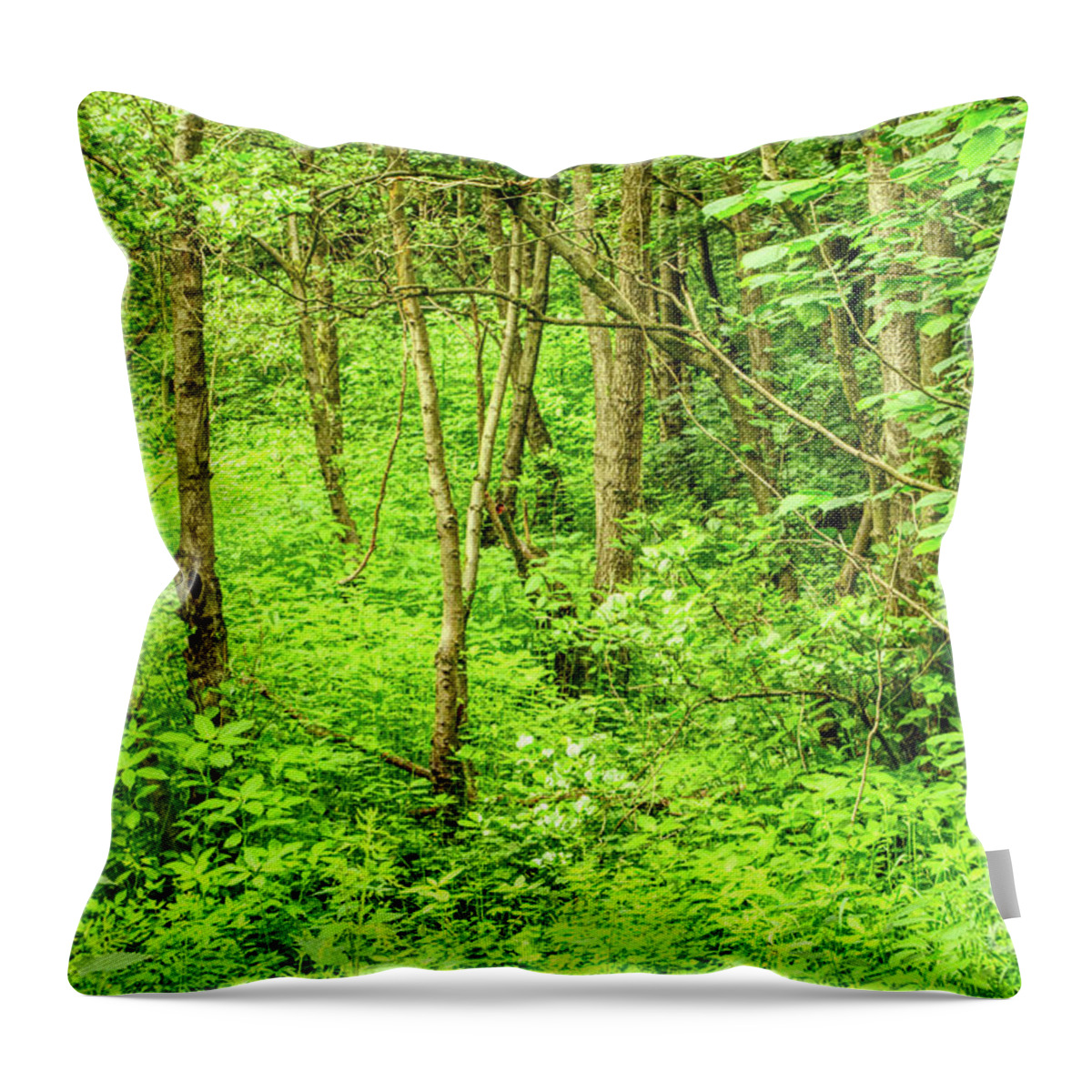 Digital Art Throw Pillow featuring the photograph Hopwood Woods Nature Reserve Manchester England UK by Pics By Tony