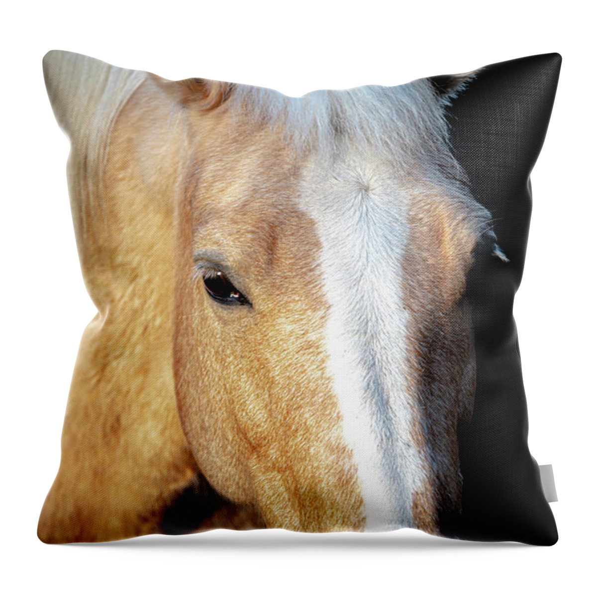 2020-02-26 Throw Pillow featuring the photograph Horse 3 by Phil And Karen Rispin
