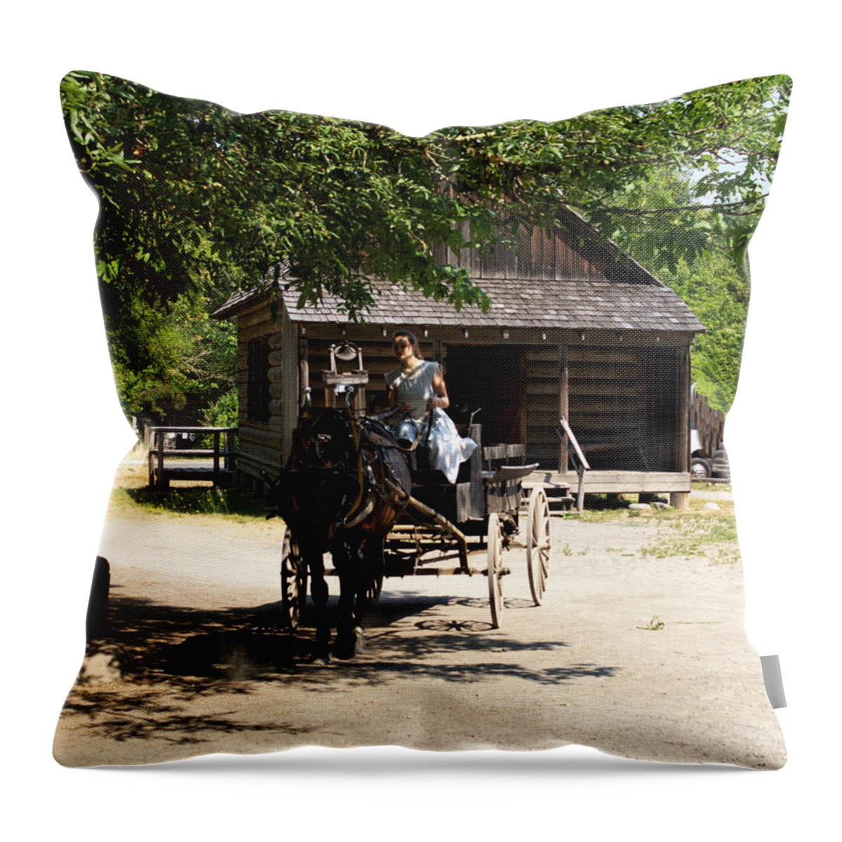 Horse Throw Pillow featuring the photograph Horse and Buggy Days by M Three Photos