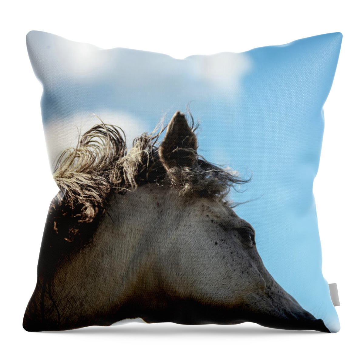 Horse Throw Pillow featuring the photograph Horse and Sky by Listen To Your Horse