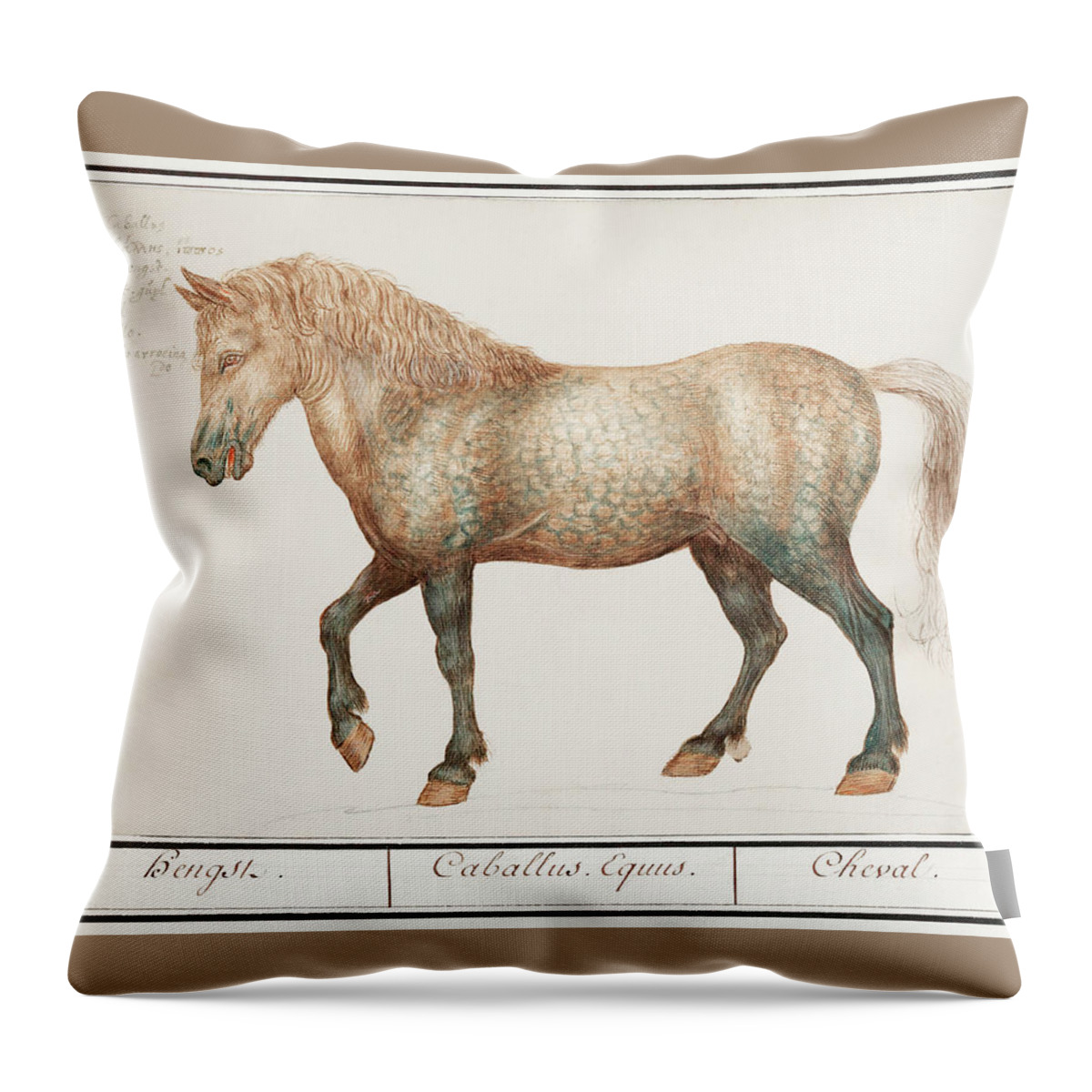 Old Painting Of A Horse Throw Pillow featuring the mixed media Horse by World Art Collective