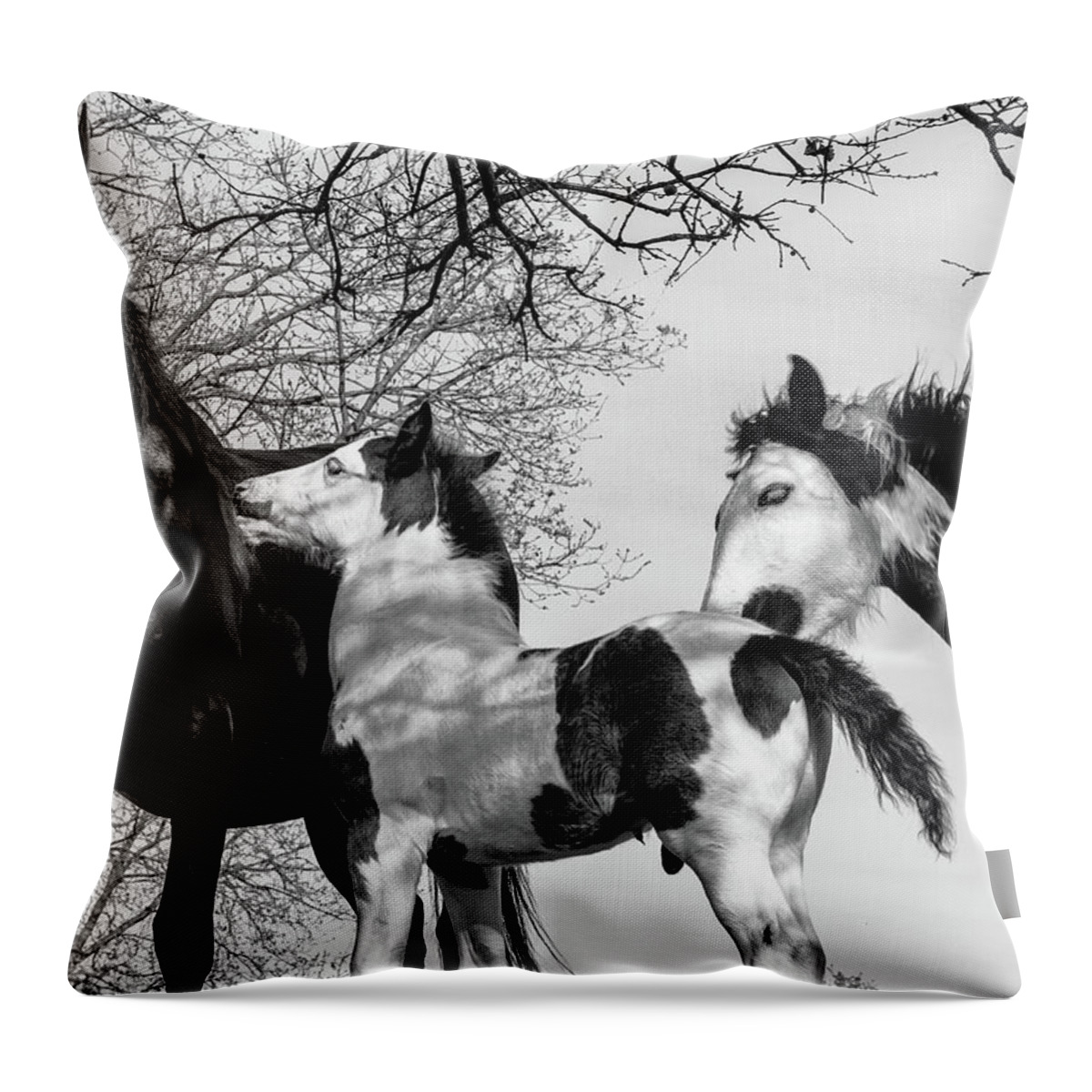 Adorable Throw Pillow featuring the photograph Horse Family - BnW by Umberto Barone