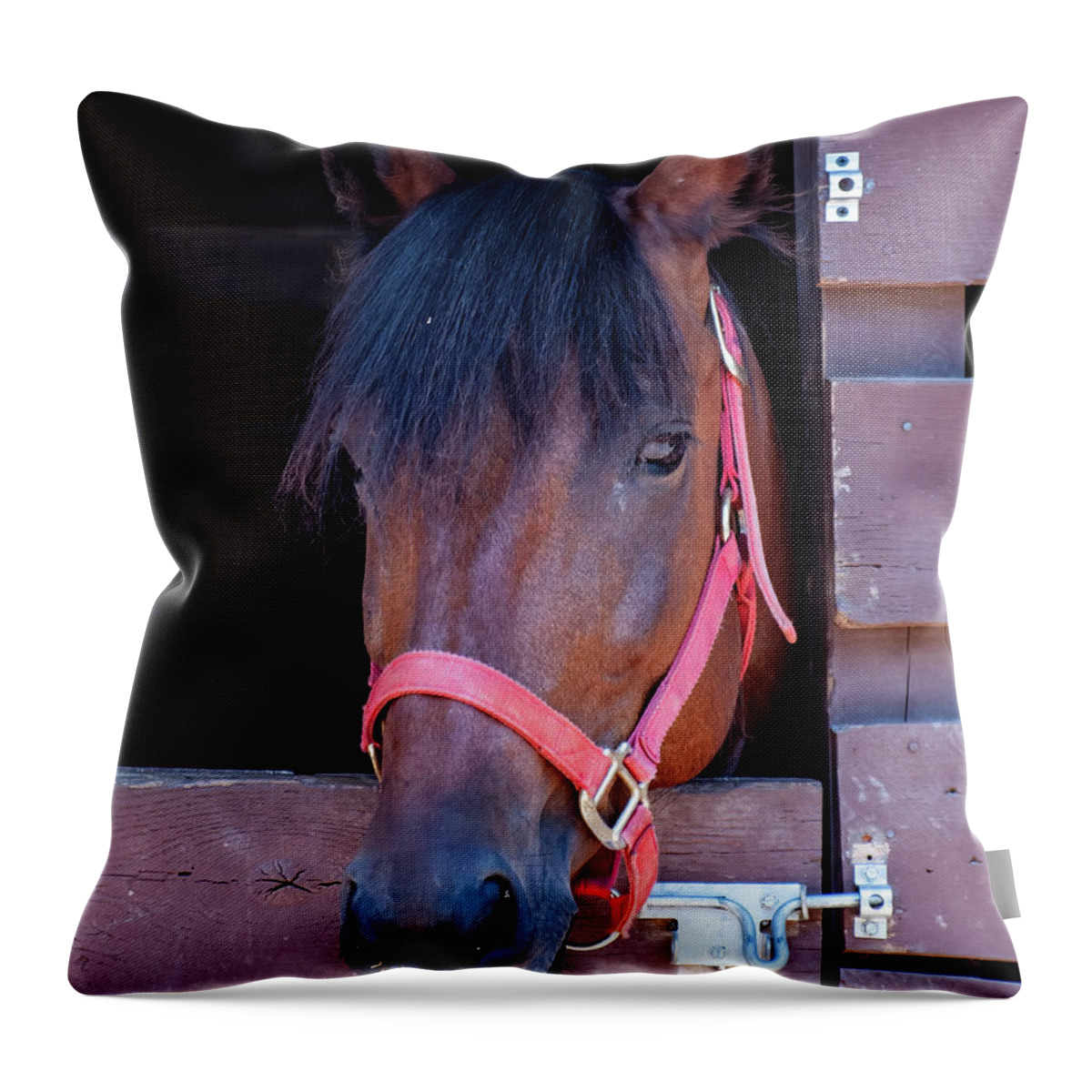 Horse Throw Pillow featuring the photograph Horse in stable 01 by Flees Photos