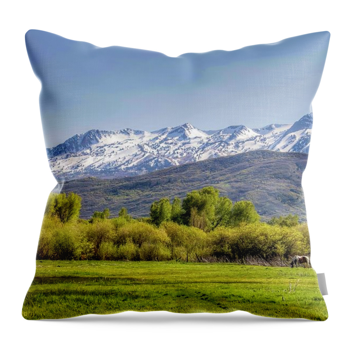 Utah Throw Pillow featuring the photograph Horse in the Valley by Pam Rendall