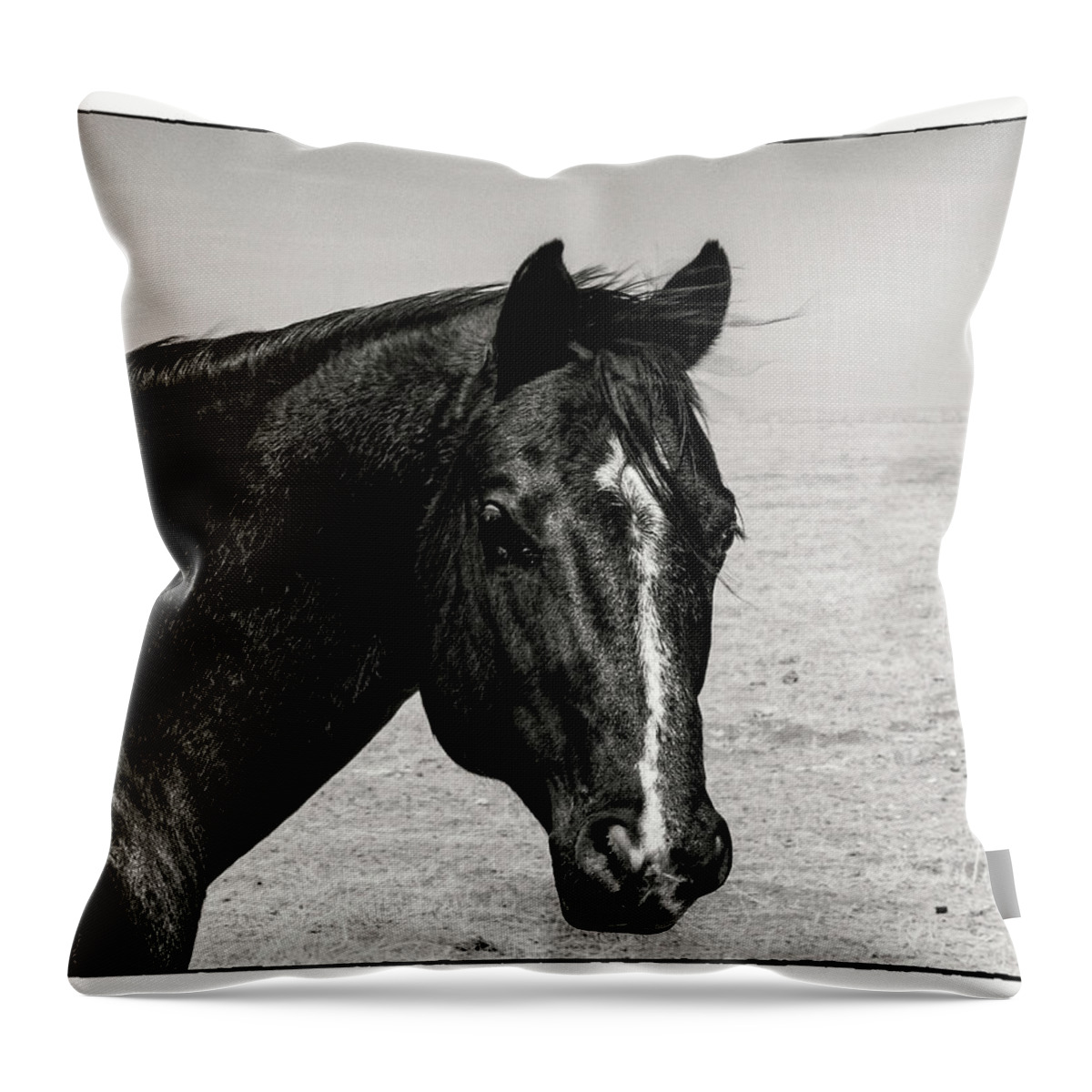 © 2013 Lou Novick Throw Pillow featuring the photograph Horse by Lou Novick