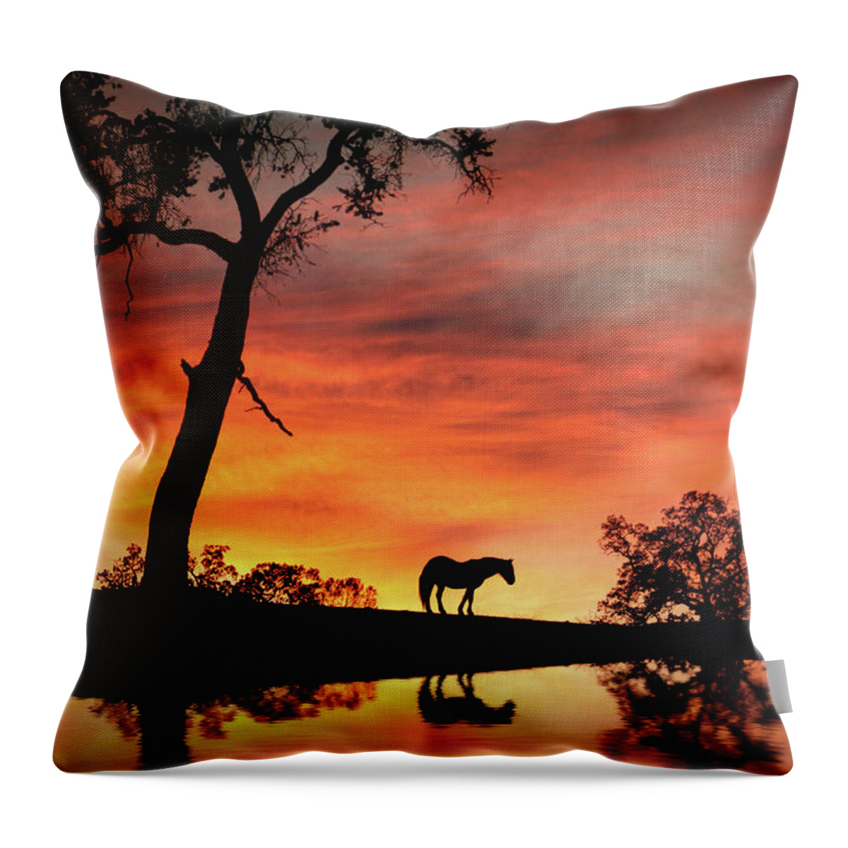 Horse Throw Pillow featuring the photograph Horse Oak Tree and Water Southwestern Sunset Country by Stephanie Laird