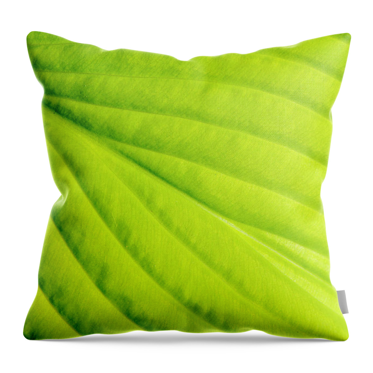 Hosta Throw Pillow featuring the photograph Hosta Leaf Detail by Karen Smale