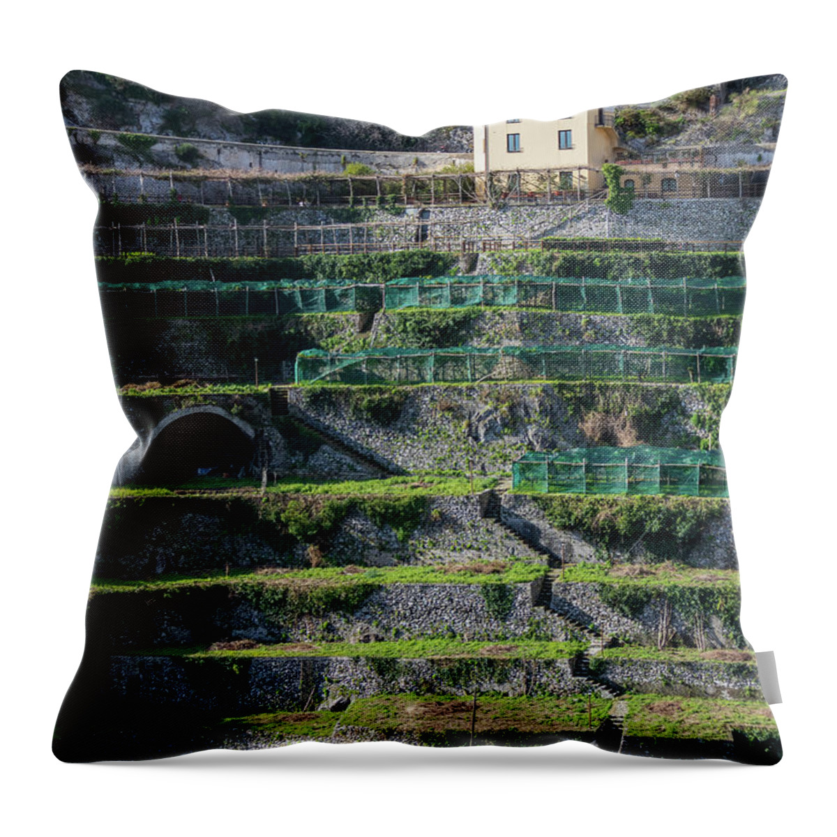 Amalfi Throw Pillow featuring the photograph House on Lemon Terracing by Umberto Barone