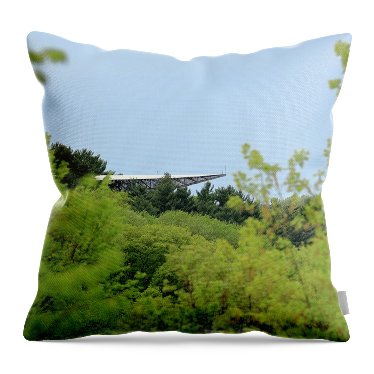 Wisconsin Throw Pillow featuring the photograph House On The Rock by Lens Art Photography By Larry Trager