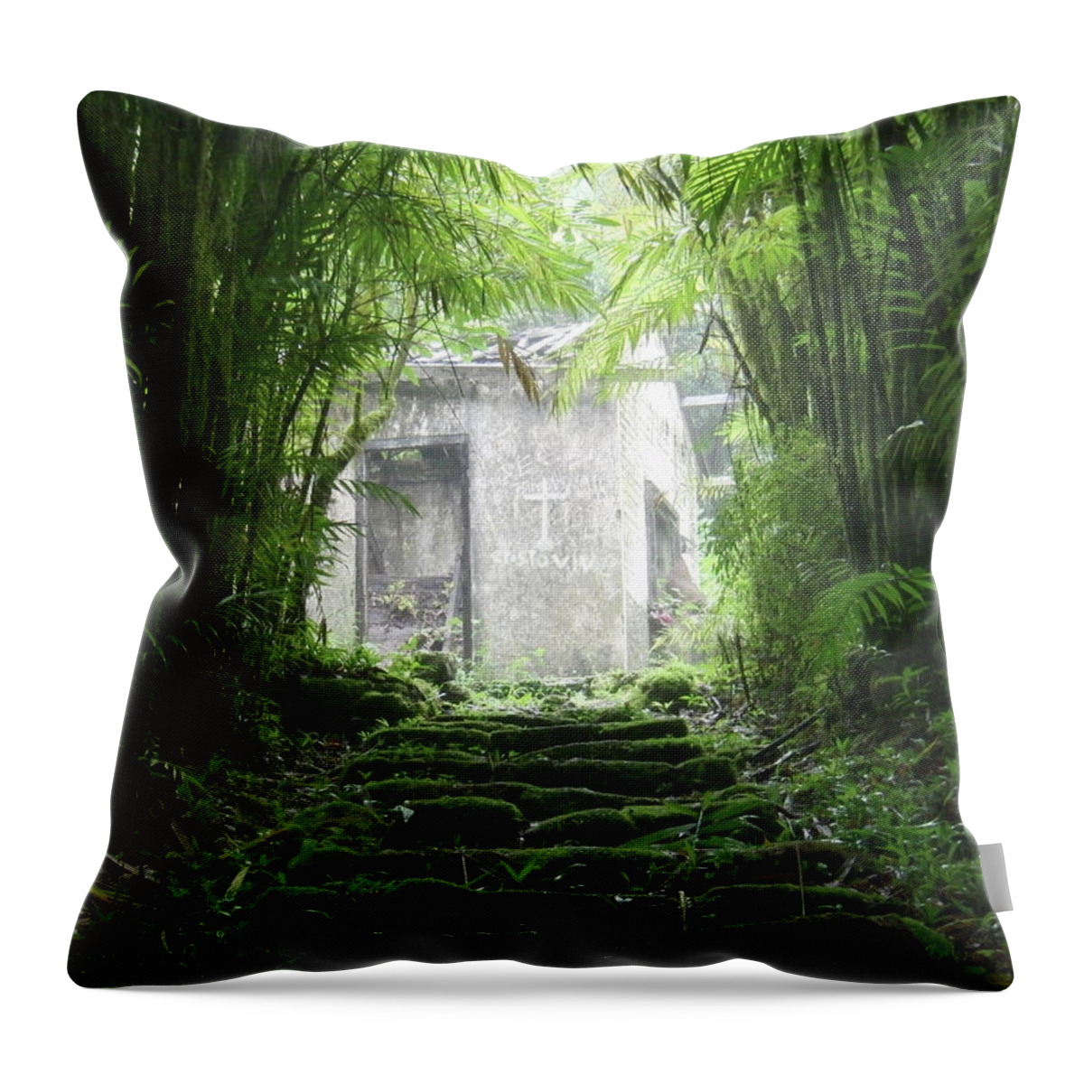 House Throw Pillow featuring the photograph House on Top of Cerro Uyuca by Teresamarie Yawn