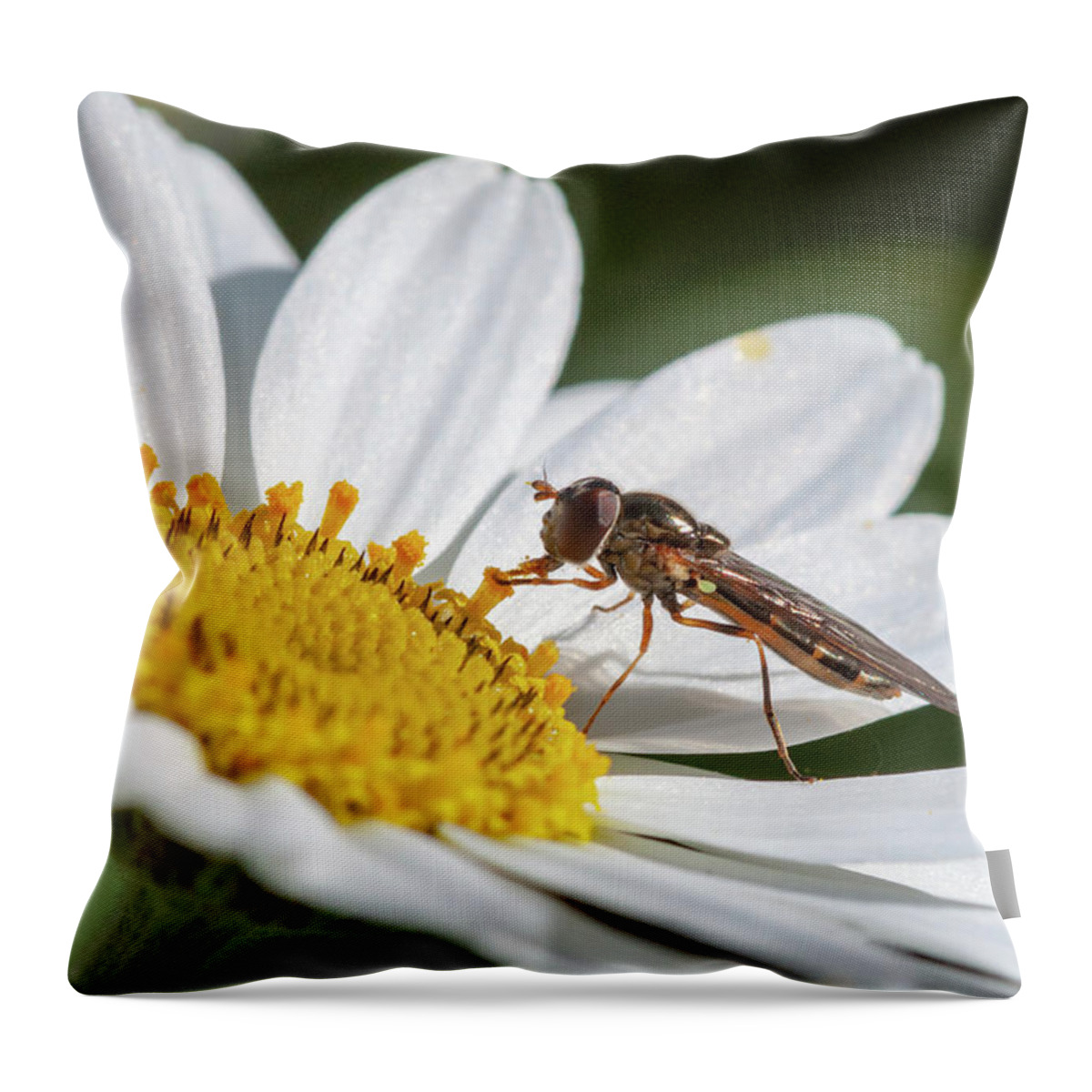 Japanese Anemone Throw Pillow featuring the photograph Hoverfly Feeding by Rob Hemphill