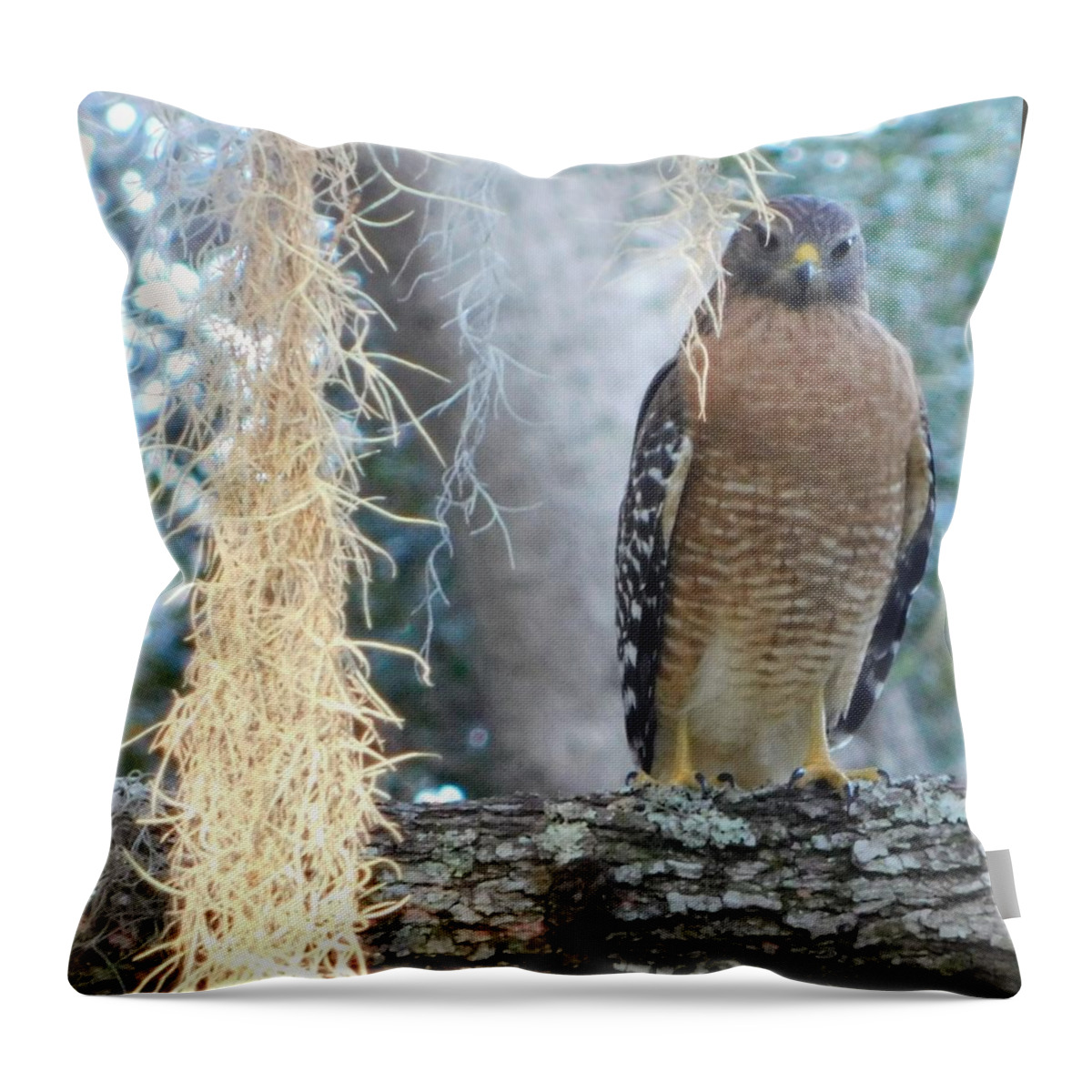 Nature Throw Pillow featuring the photograph Hudson Hawk by Gena Herro