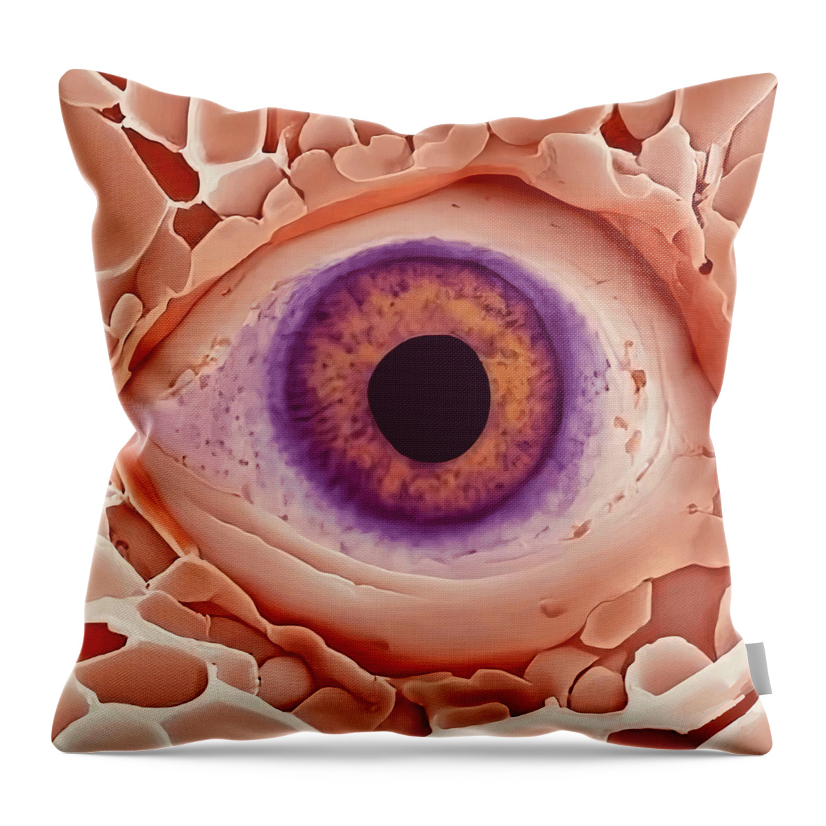 Evil Eye Throw Pillow featuring the painting Huge Collection Of Evil Eye Abstract, No 06 by Mounir Khalfouf