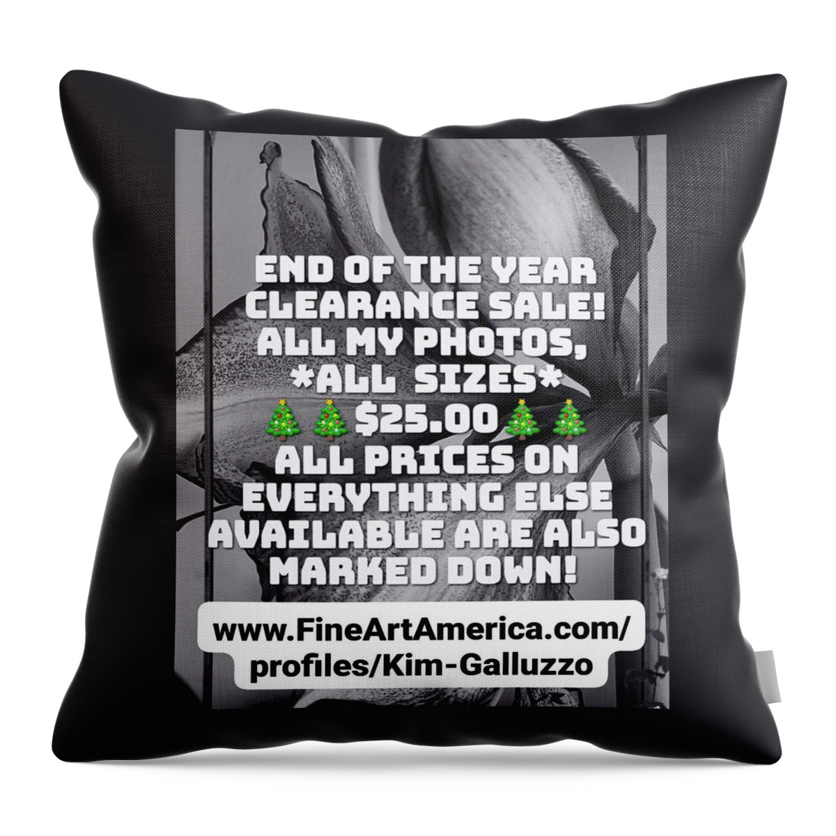 Holiday Throw Pillow featuring the photograph Huge Holiday Discount by Kim Galluzzo