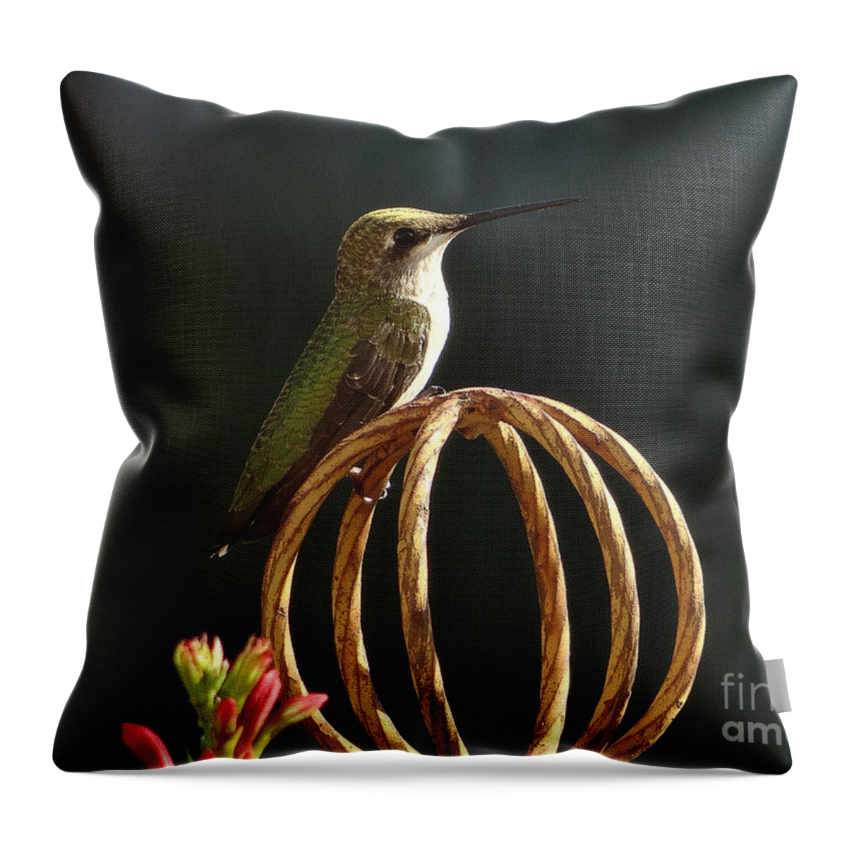 5 Star Throw Pillow featuring the photograph Hummers on Deck- 2-04 by Christopher Plummer
