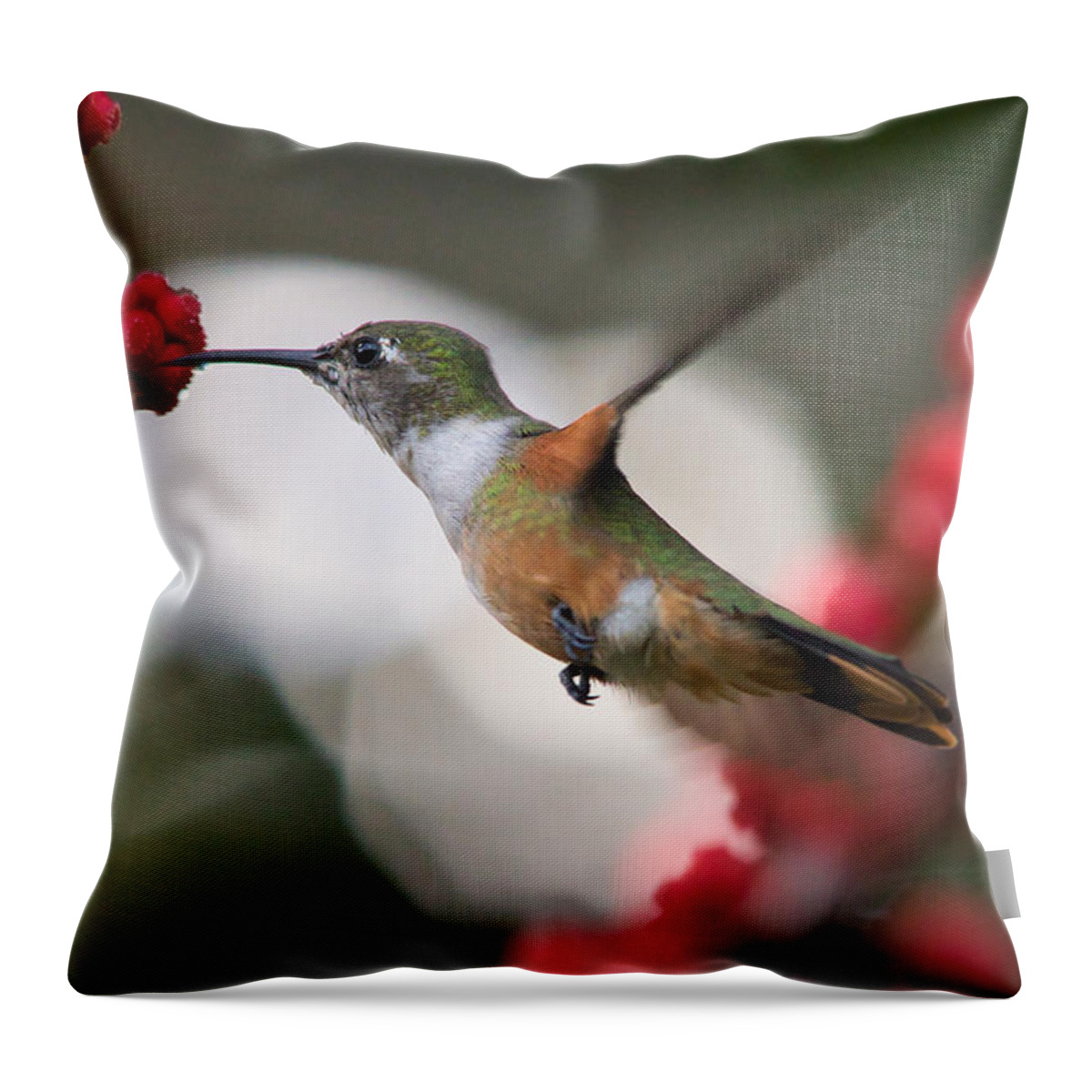 Hummingbird Throw Pillow featuring the photograph Humming Bird taking a sip of nectar by Montez Kerr