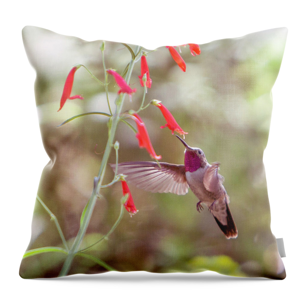 Hummingbird Throw Pillow featuring the photograph Humming Round The Little Red Flowers by Her Arts Desire