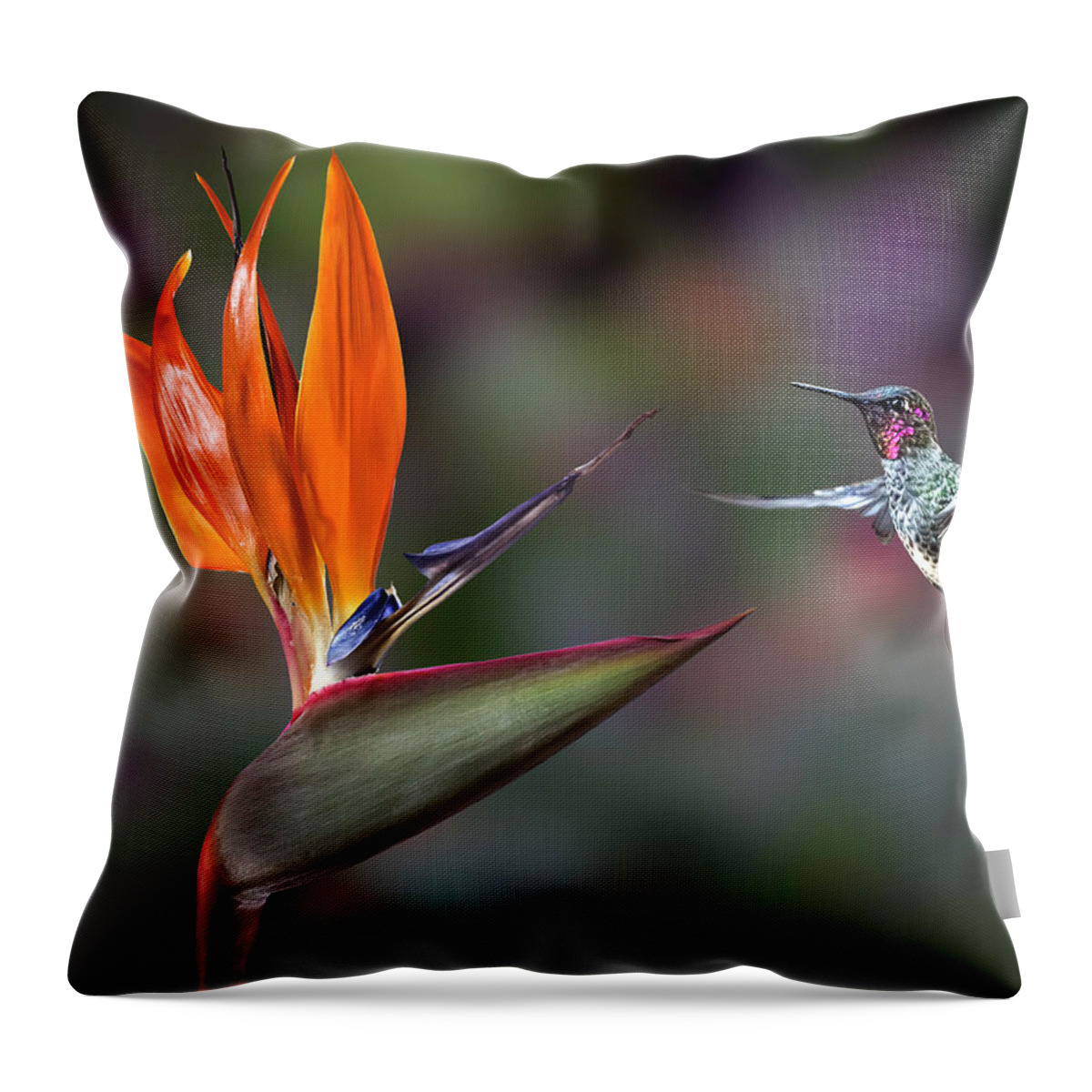Hummingbird Throw Pillow featuring the photograph Hummingbird and Bird Of Paradise by Endre Balogh